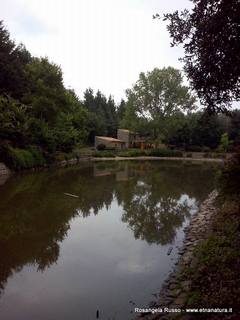 ano Collura-17-08-2015 08-50-37